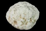 Keokuk Quartz Geode with Calcite Crystals - Iowa #144724-1